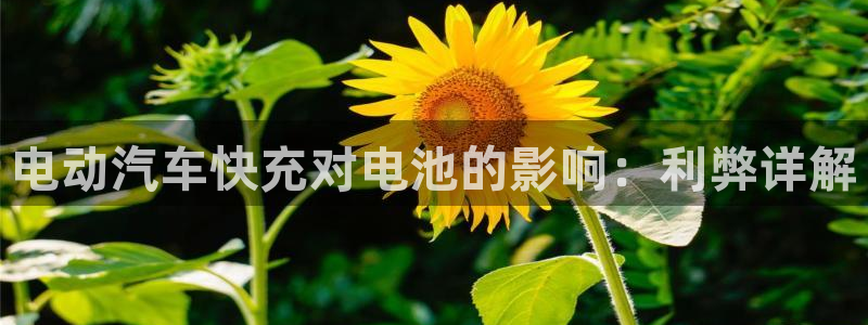 优发国际安卓版下载安装
