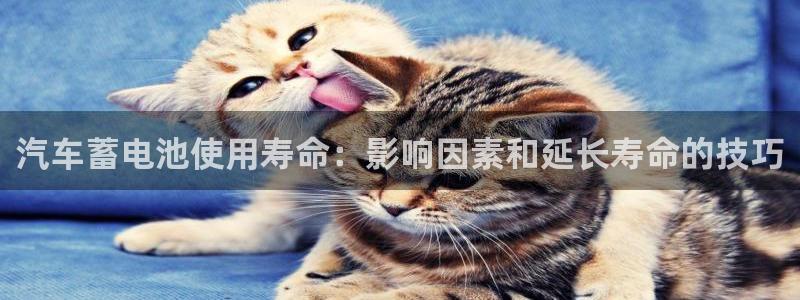 优发国际官网下载app
