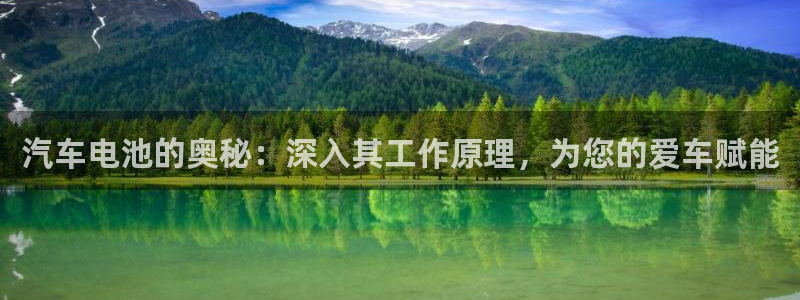 优发国际手机客户端下载安装手机版