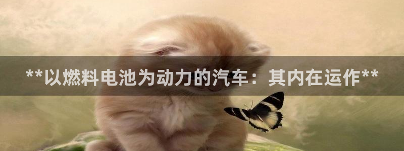优发国际手机app下载安装苹果