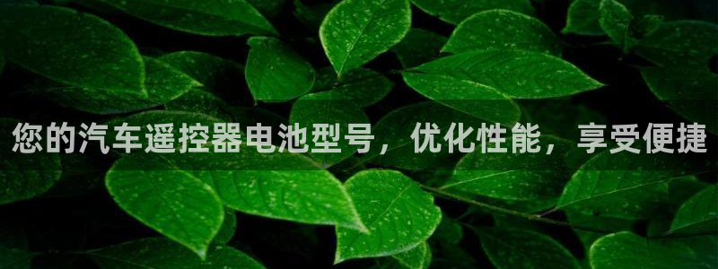 优发国际官网入口app下载苹果