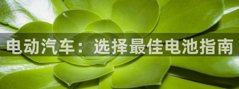 优发国际手机版唯一官网下载