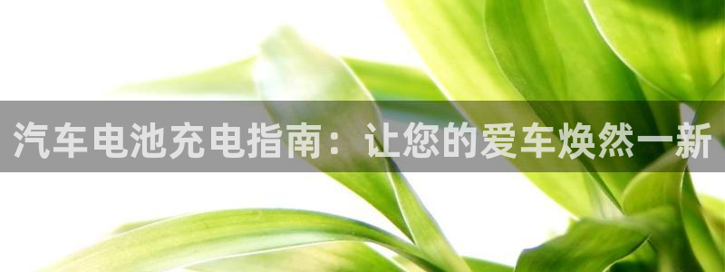 优发国际的官网是什么软件