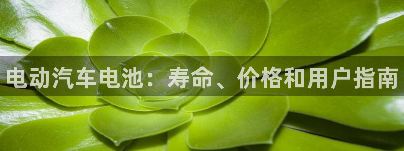 优发国际手机版唯一官网下载