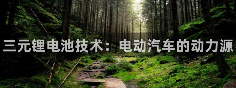 优发国际官网网站首页