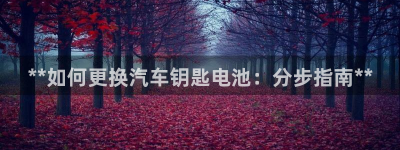 优发国际怎么样