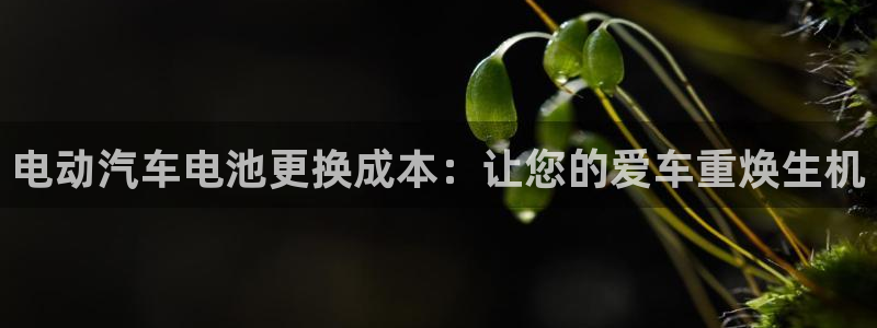 优发国际是大平台吗还是小平