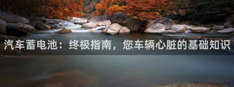 优发国际平台g8
