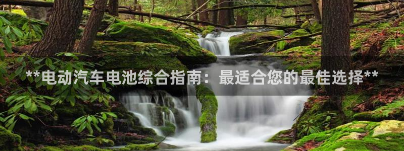 优发国际的网站是