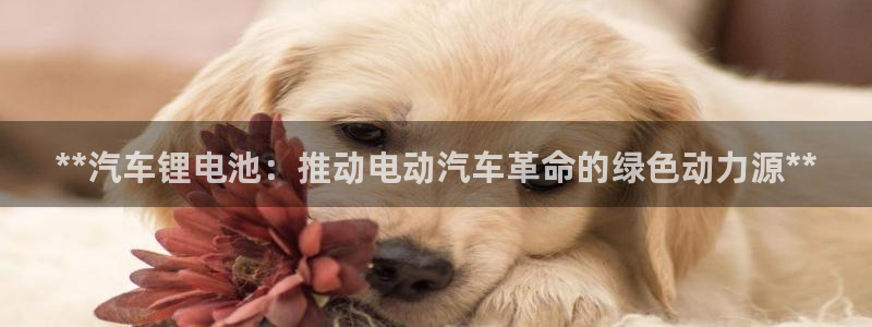 优发国际平台app下载苹果版