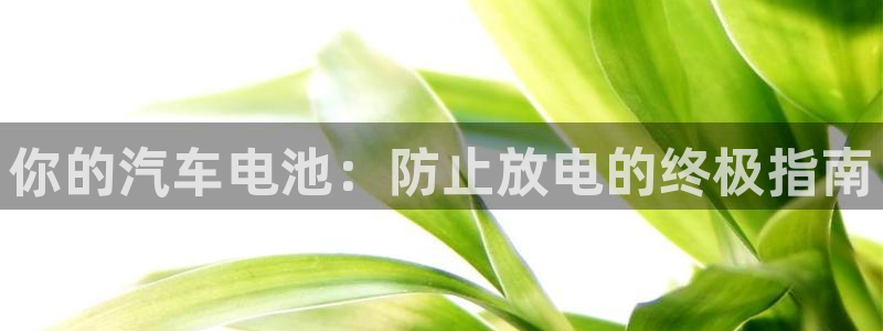 优发国际平台u8是什么软件