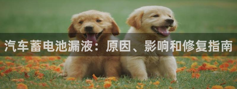 优发国际官网网站首页