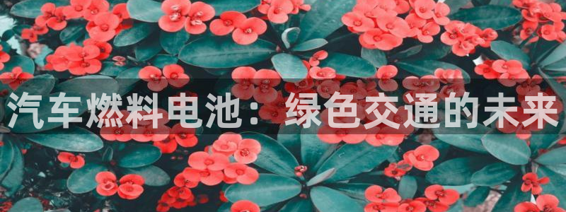 优发国际官网下载手机版