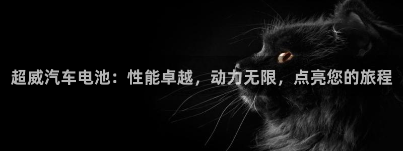 优发国际平台手机版下载