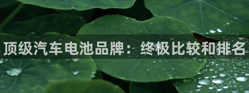 优发国际是大平台吗知乎