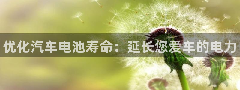 优发国际平台18