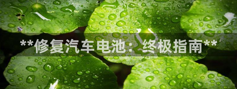 优发国际客服联系方式电话