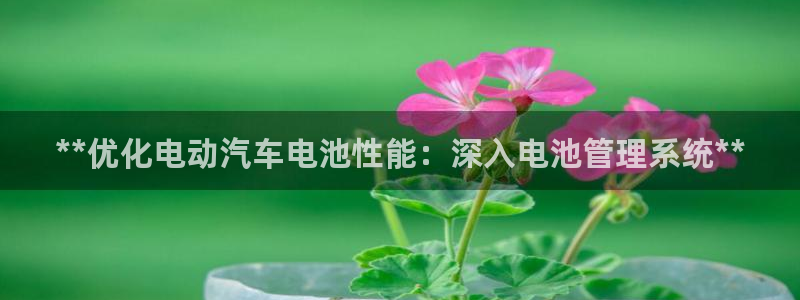 优发国际手机客户端下载安卓