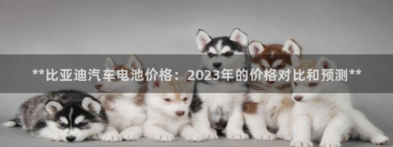 优发国际官方网平台
