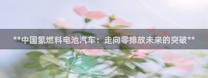 优发国际官方网