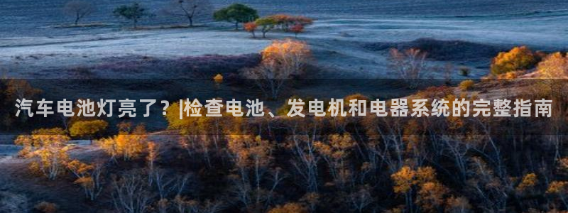 优发国际是什么
