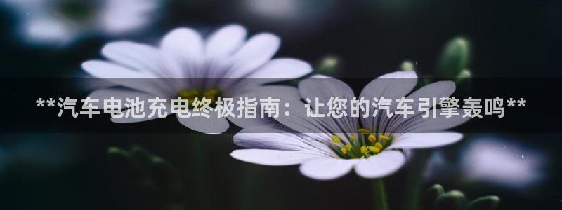 优发国际手机客户端下载官网
