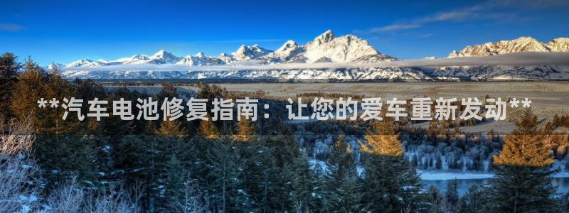 优发国际官网是多少