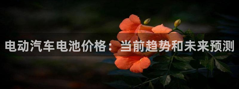 优发国际最新网站下载