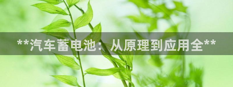 优发国际官网是多少号码