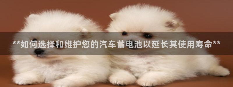 优发国际网站