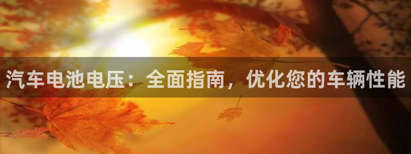 优发国际官方网手机版app