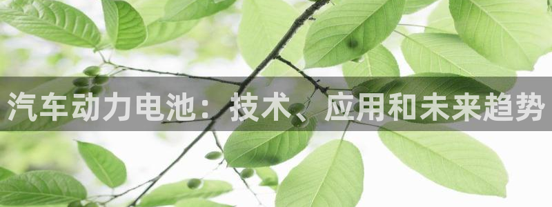 优发国际是大平台吗知乎