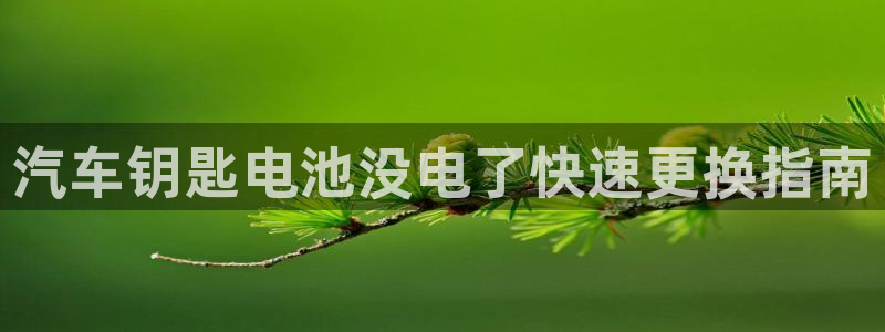 优发国际官方网平台电话