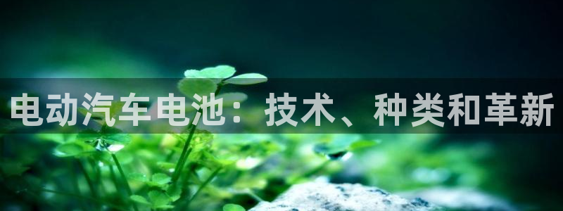 优发国际手机版下载安装