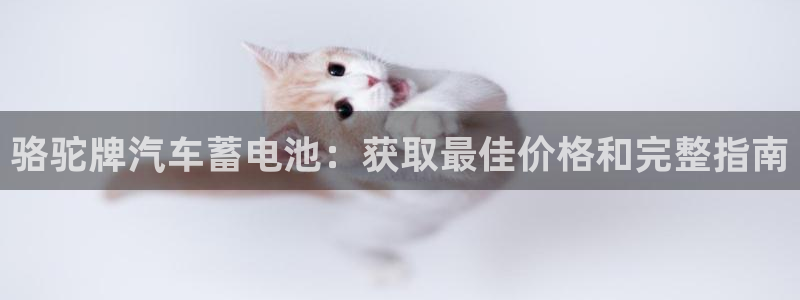 优发国际登录k8