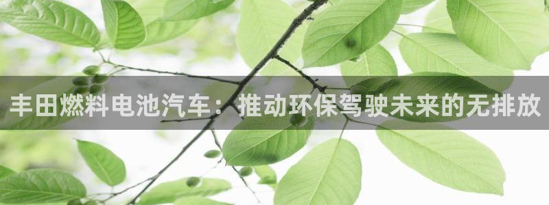 优发国际官网网站