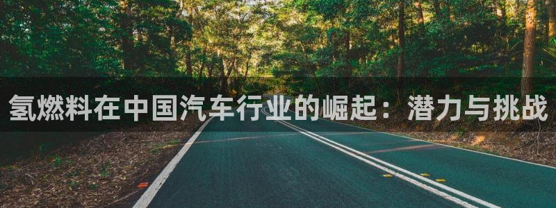 优发国际手机app下载安装官网