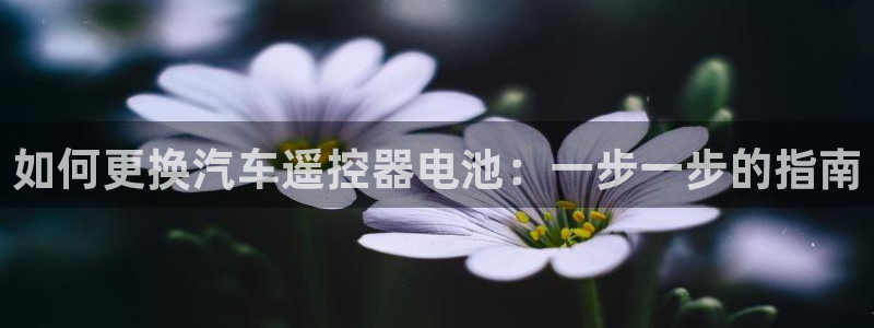 优发国际官网手机号