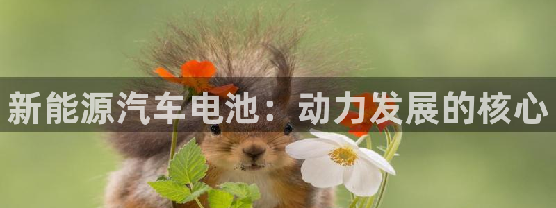 优发国际手机版网站