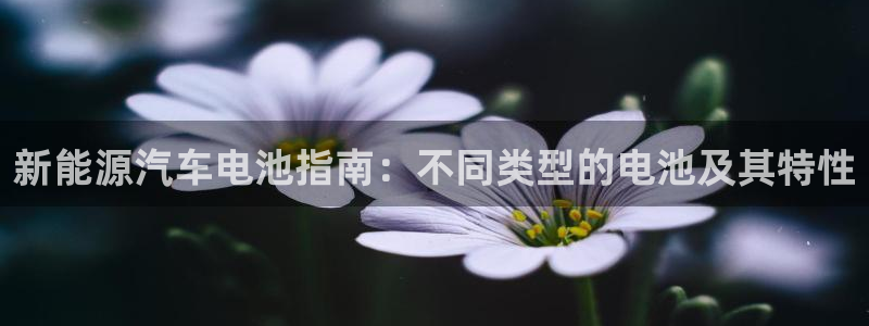 优发国际手机app下载地址