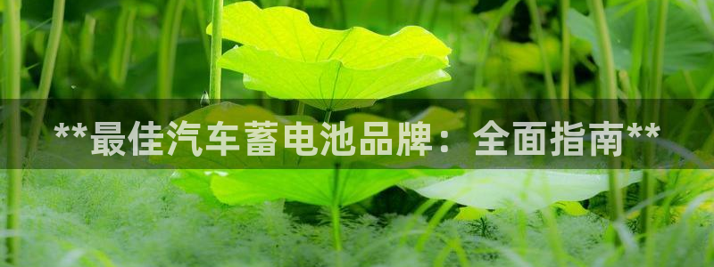 优发国际是不是黑网