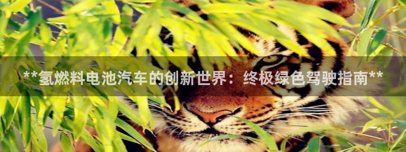 优发国际网官网17q8