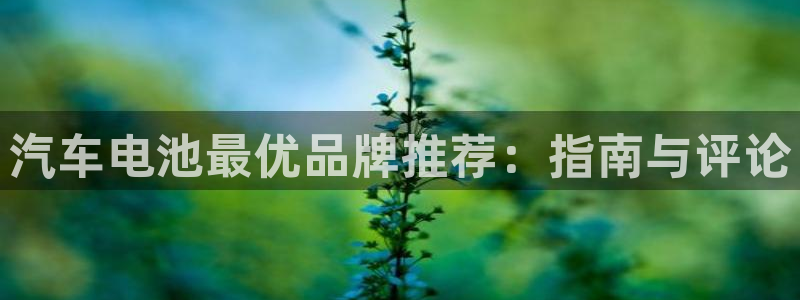 优发娱乐官网地址