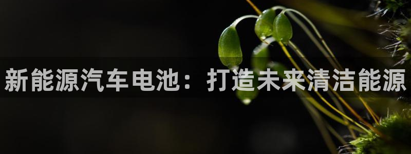 优发国际是大平台吗