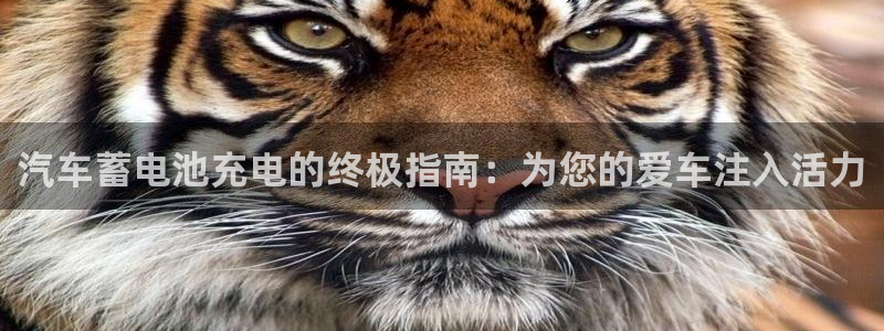 优发国际手机客户端官网首页