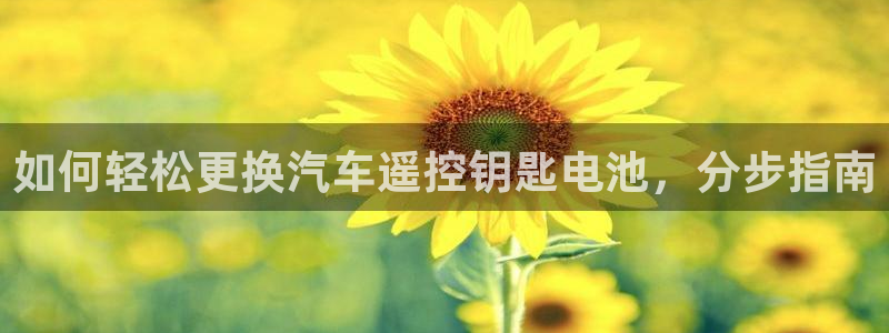 优发国际多少