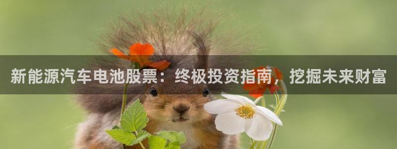 优发国际youfa966
