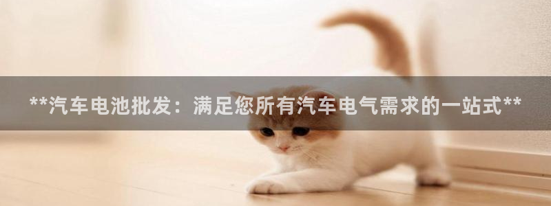 优发国际网官