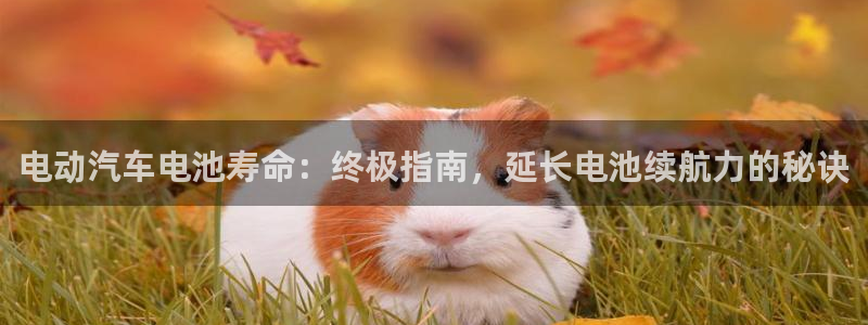 优发国际官网官方网址
