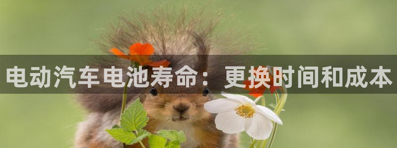 优发国际不出款